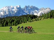 Panorama Touren